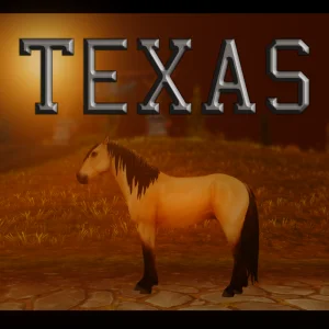 Texas – 🐂🌵🤠🌾