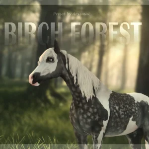 Birch Forest