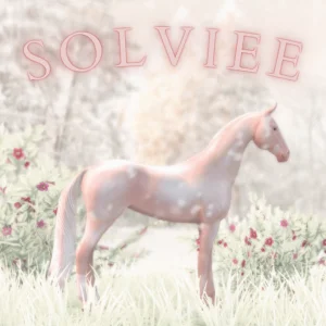Solviee