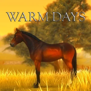 Warm Days -💛💐🧺🍂